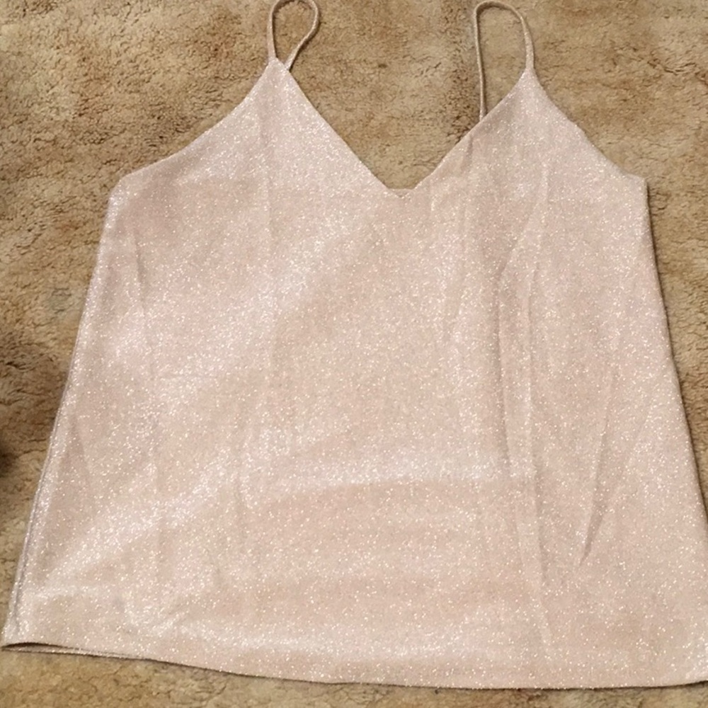 Ladies Express Shimmering Blush Camisole NWOT Size L.